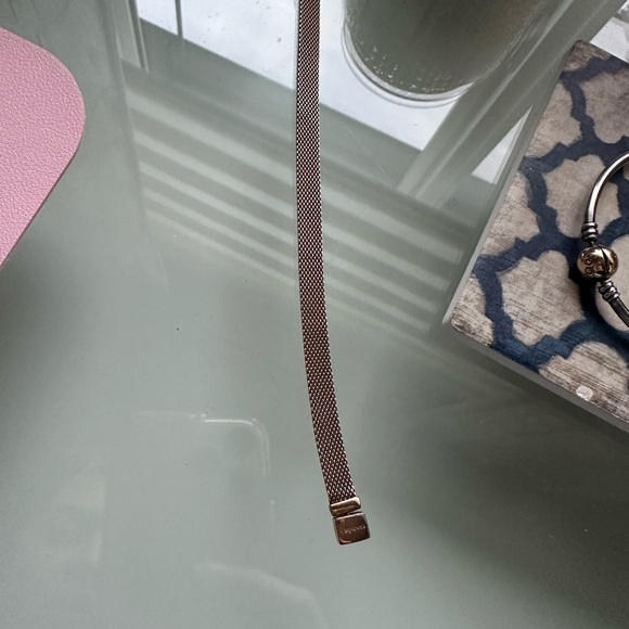 Pandora Rose-Toned Mesh Bracelet Reflections - Picture 3 of 4